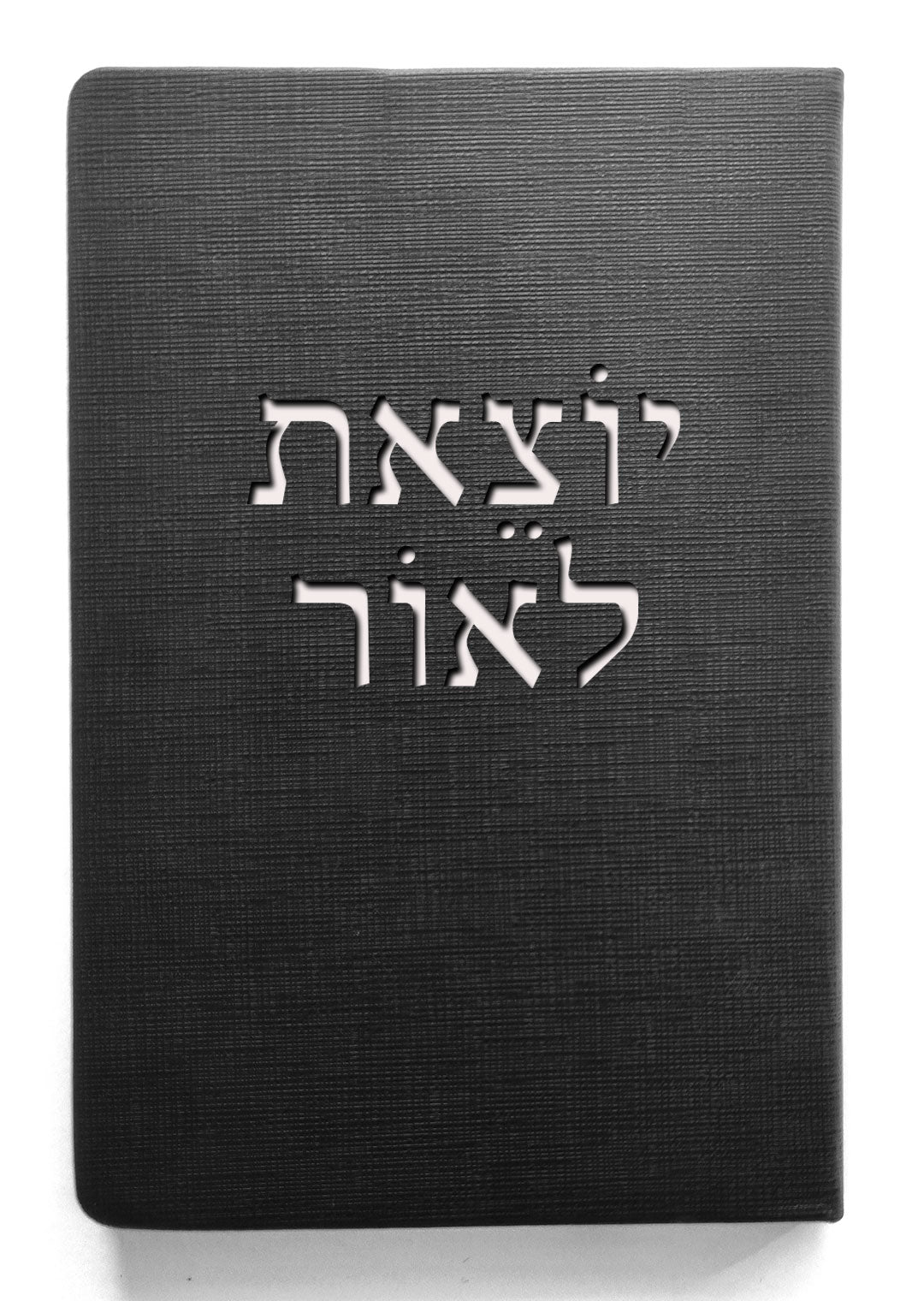 יוצאת לאור